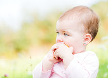 Organic Baby Clothing – Fashionable And Safe