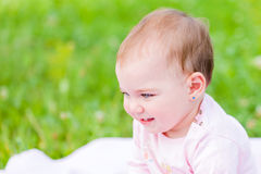Baby Plush Toys And Comforting Necessities