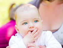 The Perfect Baby Room Dcor