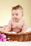 Do Limo Companies Provide Baby Seats Or Booster Seats?
