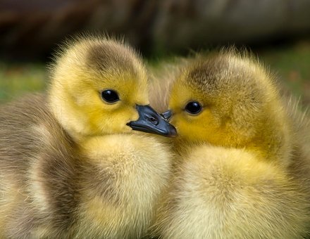 Considerations For Your Babies First Everything