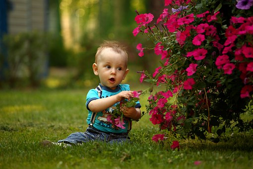 Best Rated Baby Monitors