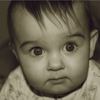 Baby Toddler - The Development Cycle