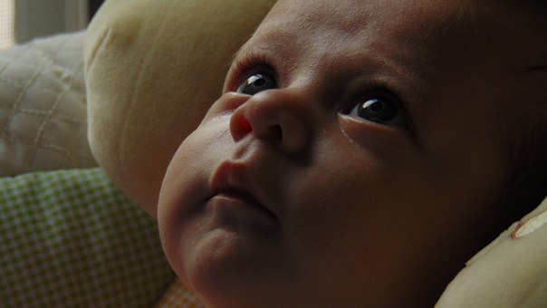 A Important Attribute Innovative Mamma's Manual To Baby Tips