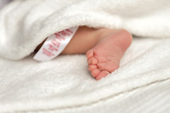 What You Have To Consider While Buying Baby Monitors