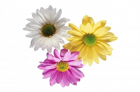 Long Term Saving Opportunities Found With Wholesale Fragrances