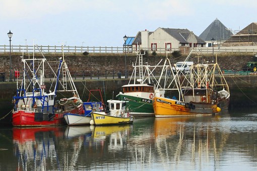 Assessing Your Options Regarding Sailboats For Sale
