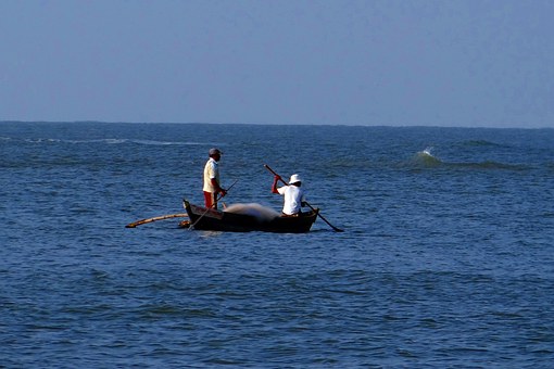 Boat Plans to Build Your Own Wooden Vessel