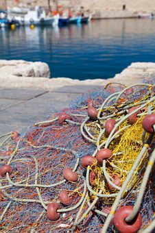 Knowing How to Lure In the Big Ones While Saving Money With BoatersWorld Coupon Codes