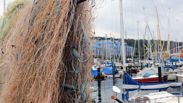 Sailing Race - Fouling the Prop