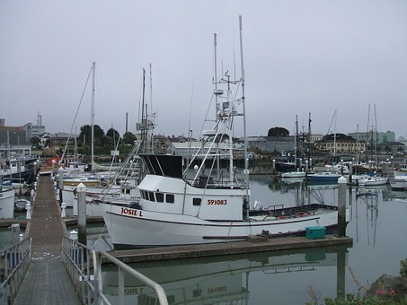 From Marine Cruises and Ocean Boats to Holiday Cruises and Cruise Ships