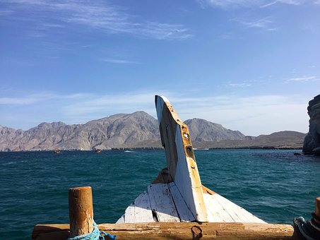 The Life Aquatic - a home to float your boat