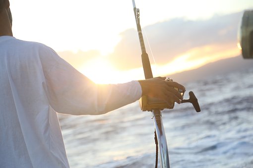 Take Your Children To Miami,florida And Unravel Superb And Inimitable Get-togethers Sailing With Cel