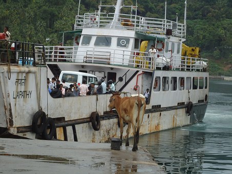 Boat-Buying Basics - A Vessel to Match Your Requirements and Budget