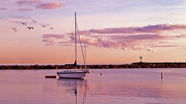 Bravo Parts: The Best Parts Of Boats That Help To Run Smoothly