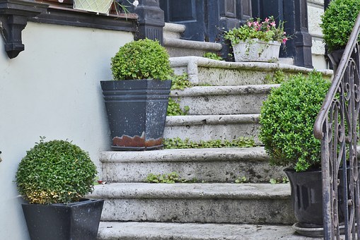 3 Success Steps to Systemizing Your Business