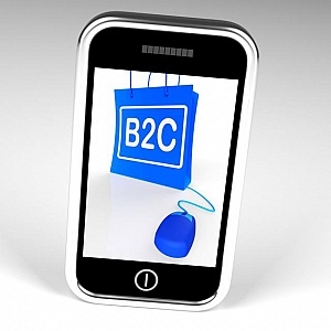 What makes a successful Wholesale Carrier?
