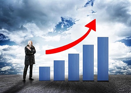 Compania Minera Raura Sa Raurai1 Financial And Strategic Analysis Review --- Aarkstore Enterprise