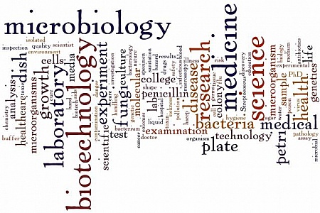 Aarkstore Enterprise---thermogenesis Corp. (kool) - Financial And Strategic Analysis Review