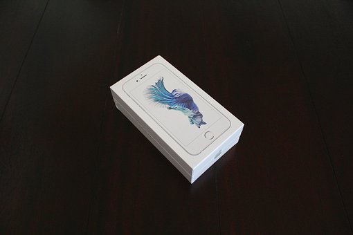 Hire Payflow Pro Programmer