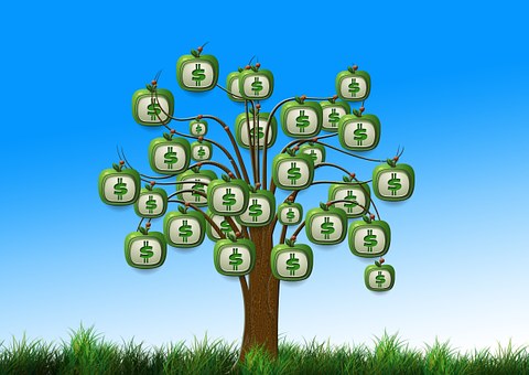 Why Use a Buyer Realtor?