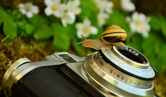 A Guide To Buy Commercial Liability Insurance