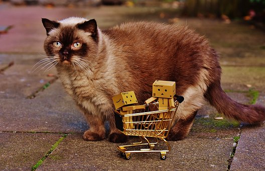 Enjoy Shopping With Daily Deals