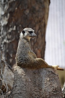 How Do Payday Loan Companies Assess My Eligibility?