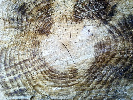 Five Ways of China Flooring Industry's Online Shopping Channel Changing Industry Pattern