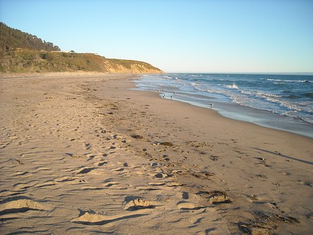Ultimate And Guide Dealing With Bonus Offers Along With Comfortable Trips For Cheap San Diego Hotel