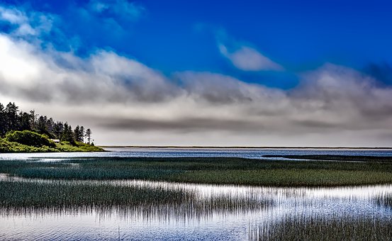 Newbies Hints For Reduction Combined With Comfortable Trips While Enjoying Your Awesome San Diego Va