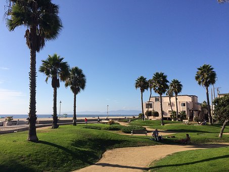 Why Not Make Your Upcoming Time Away A Wild Trip When You Take An Unforgettable Trip To The Coastal