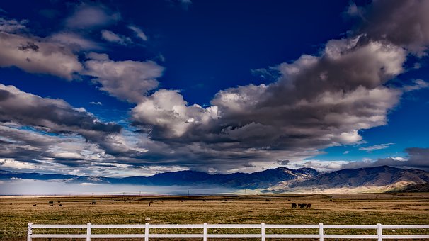Tourist Attractions To Visit On A Trip To California