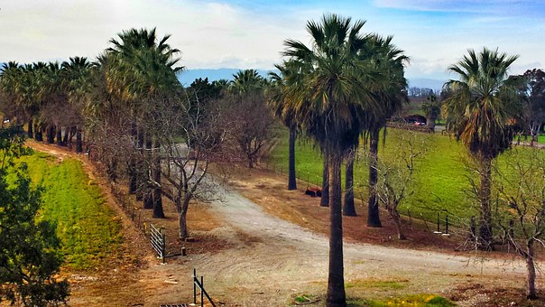 Comprehensive Ideas Concerning Holidays Concessions & Amazing Stays At Your Amazing San Diego Vacati