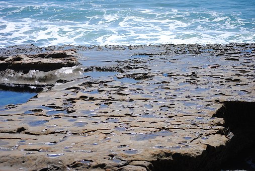 Traveller Along With Tips Related To Special Reductions Or Amazing Stays While Taking Cheap San Dieg