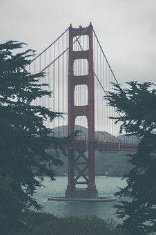 Get Luxury To A Los Angeles Hotels On Your Travels, For Extra Like Meeting Rooms, Plus Beautiful Wit
