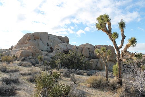 Great North American Travel Destinations In June