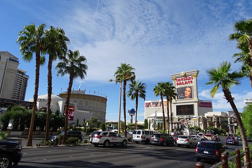 Get Luxury At A Los Angeles Fine Hotel This Travel Season, With Extra Support Of Ammenities Neat Roo