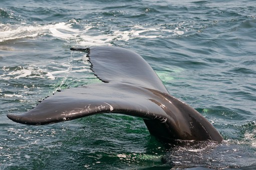 Experiencing The American Riviera - Santa Barbara