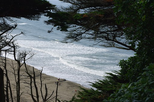 Hotel Guidebook As Well As Bonus Deals Combined With Comfortable Trips At Your Great San Diego Vacat