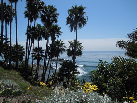 Lodging Guidance To Get The Best Of Bonus Offers And Comfortable Trips During Your San Diego Vacatio
