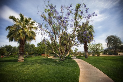 Traveling & Help To Get The Best Of Grand Packages Along With Amazing Stays On Great Cheap San Diego