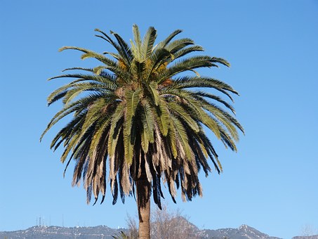 Sun City Lincoln Hills: Live and Relax