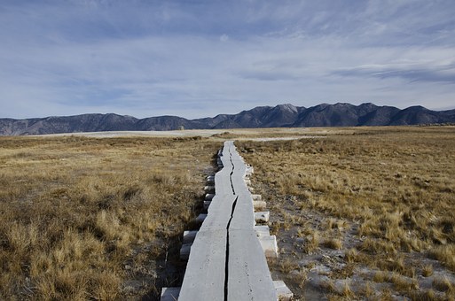 Ultimate As Well As Tips Concerning Bonus Deals And Comfortable Trips On Taking Great Cheap San Dieg