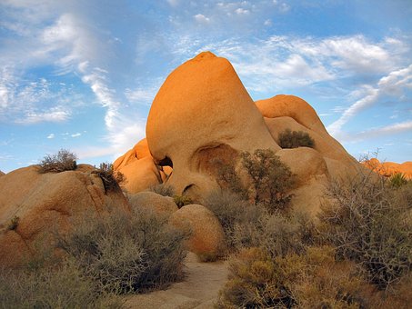 Baja California: A Perfect Summer Vacation by:Daniela Cane