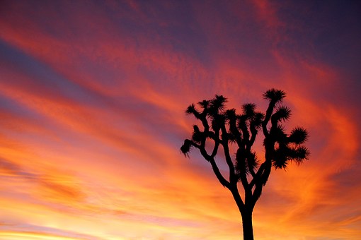 Hotel Combined With Tips On Packages And Comfortable Trips While Booking Cheap San Diego Hotel