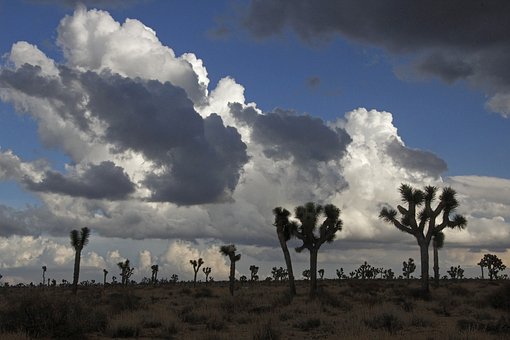 Stretch Your Las Vegas Convention Trip Into a Real Vacation by:J. Michael Key