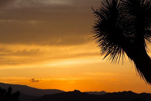 Things to Do In Chachapoyas Peru by:Thomas Carroll