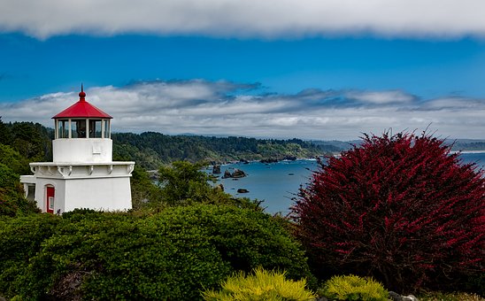 How To Rent A Vacation Condo Directly From The Owner And Save Big Money! by:Larry Levine