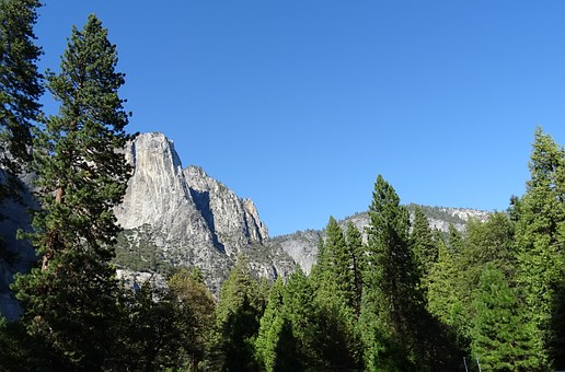 Cheaper Yet The Best Trip While In San Francisco California Out Of Discount Airfare